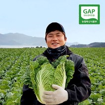 땅끝사랑 GAP 땅끝 해남 절임배추 20kg, 12월31일 (토요일도착)