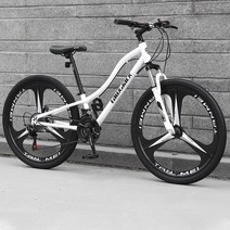 엔듀런스 자전거 울테그라 그래블 바이크 그래블 클라리스 로드 입문로드 소라급 105급, 26인치, A 24단