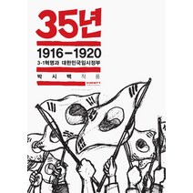35년 2: 1916-1920 3·1혁명과 대한민국임시정부:박시백 작품, 비아북