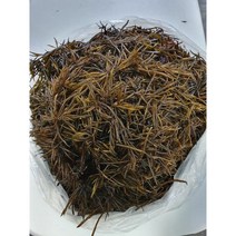 가락시장 직송 바다내음 가득한 톳 4 kg