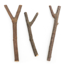 천연나무조각 모음, 1, 01 Y형 8cm 10입