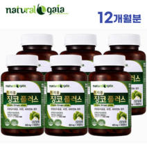 기억력 혈행 개선 은행잎추출물 징코 플러스 60정 식약처인증 징코빌로바 부모님 어르신 노인 뇌 두뇌 영양제 ginko biloba, 6개