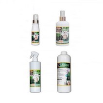 천연성분100 피톤치드 스프레이 편백수 택1, 1000ml