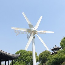 풍력 발전기 1000w 터빈 12V 24V 48V DC 220v AC 홈 시스템 녹색 대체 에너지 태양 전지 패널 가정용 솔루션, [03] 48V, [04] Off Grid System, [03] 800W 6 Blades