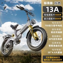 전기 자전거 20 인치 리튬 이온 출퇴근 접이식 전동자전거 바이사이클, 13AH 표준+접이식+8단 변속+약 80KM, 48V