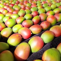 새콤달콤 프리미엄 페루 애플망고 2kg 3kg 4kg, 02_애플망고 3kg(6-8과내외)