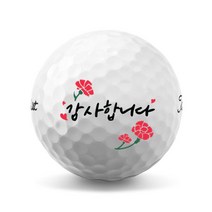 04 어버이날 골프공 부모님 선물용 로고 인쇄 제작 (6구), 볼빅 비비드 화이트 6구, A