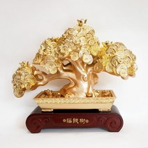 황금 보물 돈나무