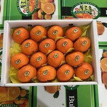 [고품질 선별과일]제주 고당도 불로초 카라향 감귤 밀감 제주도 귤 선물, 당도선별 불로초 카라향 감귤 3kg(2s~m), 1개