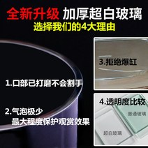 해외 원형어항 소형어항 미니어항 초백에 두꺼운 통유리 원통어항 거실 원통어항 원통기둥-50176, 옵션11