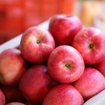 산지직송 경북 청송 안동 홍옥 홍로 부사 꿀 사과 선물용 가정용 햇사과, 2.6~7과(1.5kg 내외)