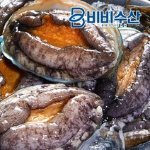 청정바다 완도 산지직송 국내산 활전복 1kg(산소포장), 1kg(9-11미)부직포포장