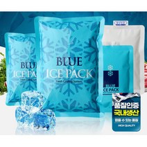 도시락배달 일회용 식품보냉 음식아이스팩 미니 냉동아이스팩 완제품아이스팩 음식배달팩 택배쿨팩 얼음팩, 1개
