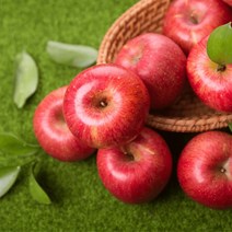 하르방마켓 최상급 청송사과 꿀사과 청송 사과 설선물세트 과일 직거래 햇사과 꿀사과 가정용 선물용 못난이 흠집 중과 대과 특대과 부사 홍로 명절 설 구정 추석 선물 세트, 2. 가정용 소과 5Kg (22과내외)