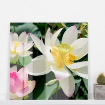 기타 바보사랑[꾸밈]아크릴액자_풍요인테리어연꽃