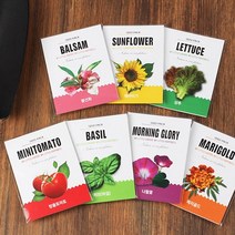 1종 씨앗봉투/화분키우기 씨앗심기, 상추