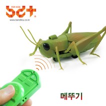 반디 메뚜기 RC 무선조종 동물로봇 곤충 장난감