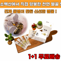 소백산에서 직접 양봉한 천연 아카시아 벌꿀 스틱 1+1, 2+2