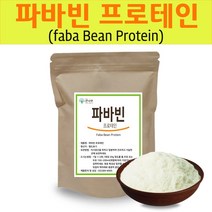 The큰나무 파바빈 프로테인 분말 280g 자이언트 파바빈 콩 가루 단백질 함량 89%, 1팩