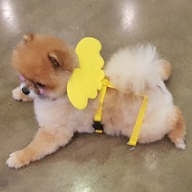 예펫 날개 하네스 강아지 고양이 가슴줄, 하네스_옐로우_XS