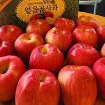 [외할머니밥상] 밀양 얼음골 아삭아삭 꿀사과 5kg 10kg / 사과즙, 04 얼음골 사과즙 120ml 25포