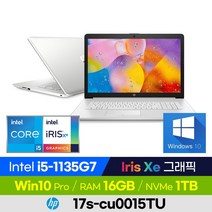 HP 17s-cu0015TU 가성비 학습용 업무용 사무용 인강용 주식 온라인게임 큰화면 17인치 노트북 (코어i5-1135G7/Iris Xe), 윈도우 포함, 16GB, 1TB, 코어i5, 실버