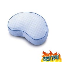 일본아이디어쇼 자세보정