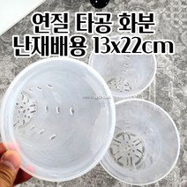 반투명 난/수경 재배용 매쉬 타공형 포트 화분 D13 13x22cm 오늘출발 도로용 모던화분 깔끔한화분 가드닝 실외용 미