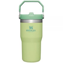 스탠리 아이스플로우 스테인리스 스틸 텀블러 빨대 포함 알파인, 30oz, Citron
