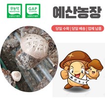 무농약인증 GAP인증 <파지-소-특대-소+대> 생표고버섯 파지 디시용 식당용 추천용 육수용, 파지 <대>” class=”wr-img”></a></div></div></div></div><div class=