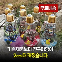 일본정품 마리모 세트 키우기 수경식물 어항 꾸미기, 마리모 레드 모래[어항14cm]