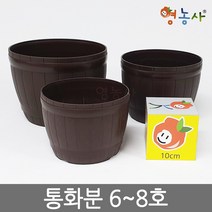 통화분 인테리어 플분 홈가드닝, 통화분 6호