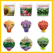 세계종묘 재배세트 /미니화분세트 식물키우기키트, 비올라, 세계재배세트