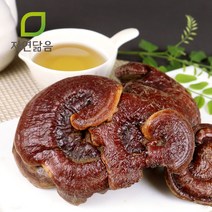 자연닮음 국산 자연산 영지버섯 300g, 1개