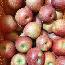 밀양 얼음골사과 꿀사과 부사 사과 5kg (대과), 상세페이지 참조