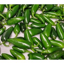 남미 할라피뇨 페퍼 슬라이스 3kg 대용량 나초 절임고추 피클