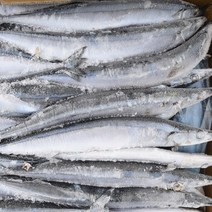 푸드마을 냉동 꽁치 8.5~9.3kg내외 1번(대략 68미) 2번(대략 78미) 꽁치 1박스, 꽁치 2번