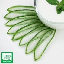 3키로 사포나리아 알로에 생잎 8111EA