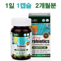 액티브 프로바이오틱스 (2개월분) 언제 부작용 장점 하루권장량 권장량