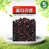 솔림텃밭몰 울타리콩씨앗 30g 울타리콩 재래종 콩씨 종자, 단품