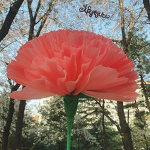대형 선물 자이언트 어버이날 대왕 카네이션 DIY 만들기 스승의날, 핑크/토퍼포함