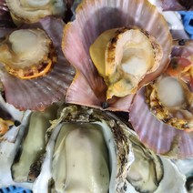 미스통 모듬 조개구이 캠핑세트 4kg 찜 조개탕 키조개 뿔소라 키조개 홍가리비 홍합 석화 굴