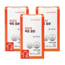 닥터루템 헤모어 락토 철분 빈혈 비헴철 철분제, 60정(6개월), 3박스