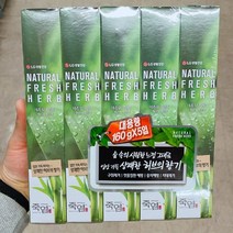 LG생활건강 죽염 네추럴 후레쉬 허브 치약 160g, 5개