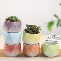 투톤 도자기 미니 다육이 화분 수제 소형 사무실 책상 사무실미니화분 다육이화분 소형화분 도, 오렌지