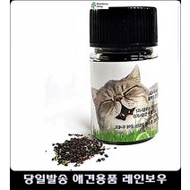 헤어볼배출 국산 심신안정 고양이기르기 고양이캣닢 스크레쳐 새끼고양이키우기 고양이필수품