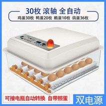 부화기 입문용 2021년 신상품 조류 자동 부화 병아리 계란부화기 36란 실험, 36. 계란부화기 30란(더블 전기 자동)