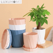 럭시홈 창의적 원예 화분 소/중/대/특대 (화분 + 화분받침 세트), 특대, 화이트