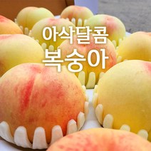 산지직송 영동복숭아 아삭달콤 딱딱이복숭아 부드러운 황도 백도 복숭아 가정용 선물용 왕특 특대 대 2.5kg 2kg 4kg, 부드러운 황도백도 복숭아 4kg(대/18~21내외)