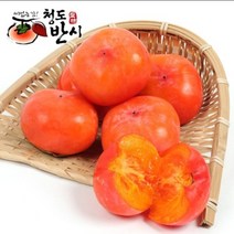 쭌이네 산지직송 달콤한 청도반시 5kg(후숙상품), 1통, 청도반시 5kg(51-55과)